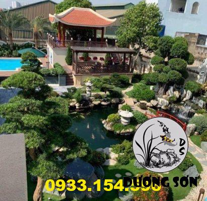 thiết kế và lắp đặt hổ cá koi đẹp Tân Phú
