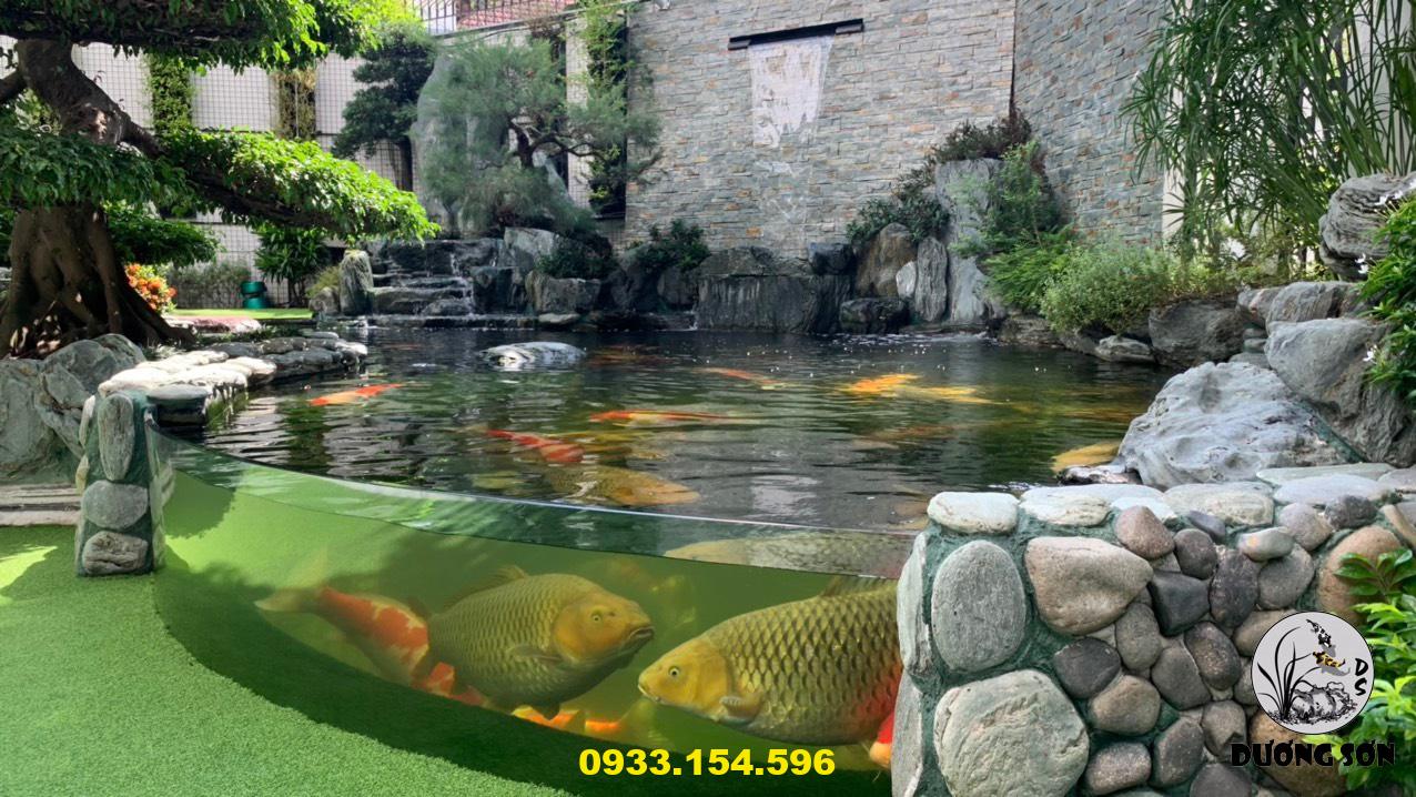 thiết kế lắp đặt hồ cá koi sân vườn tường nước gò vấp